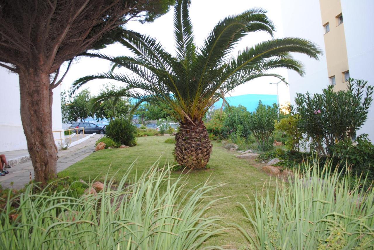 Appartement Jardim Flores *